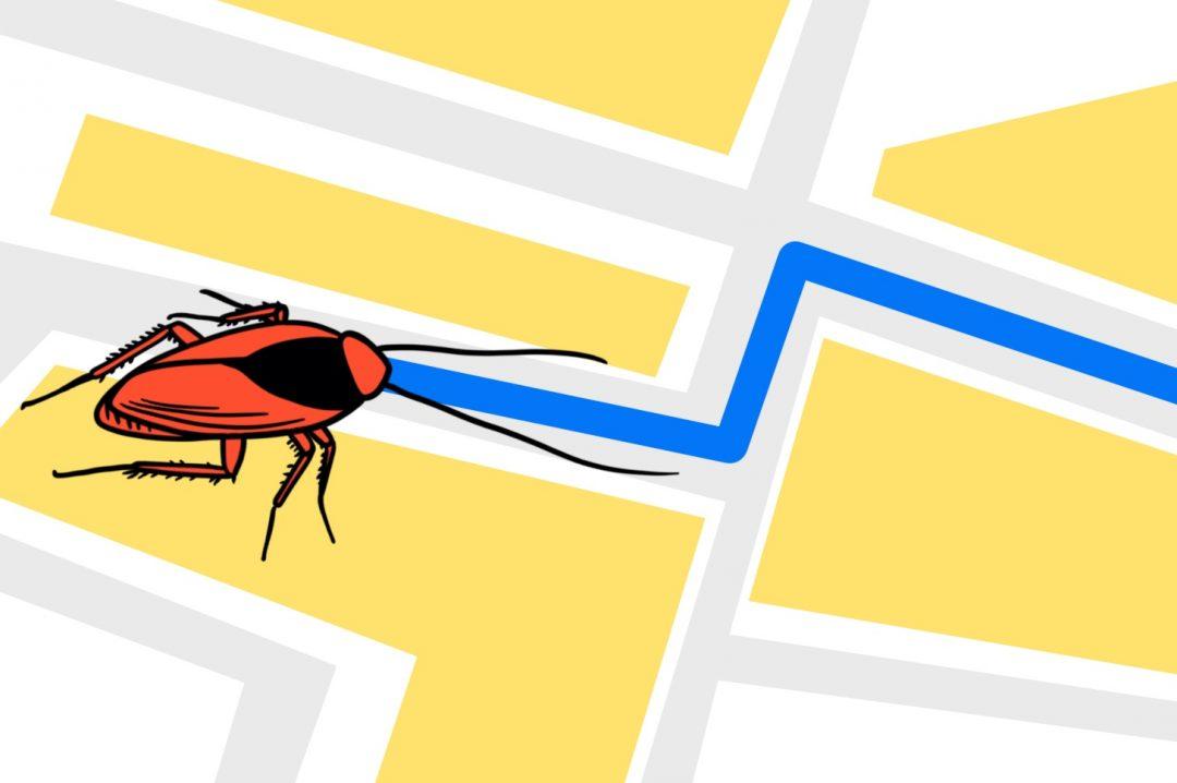 Задача про соседских тараканов