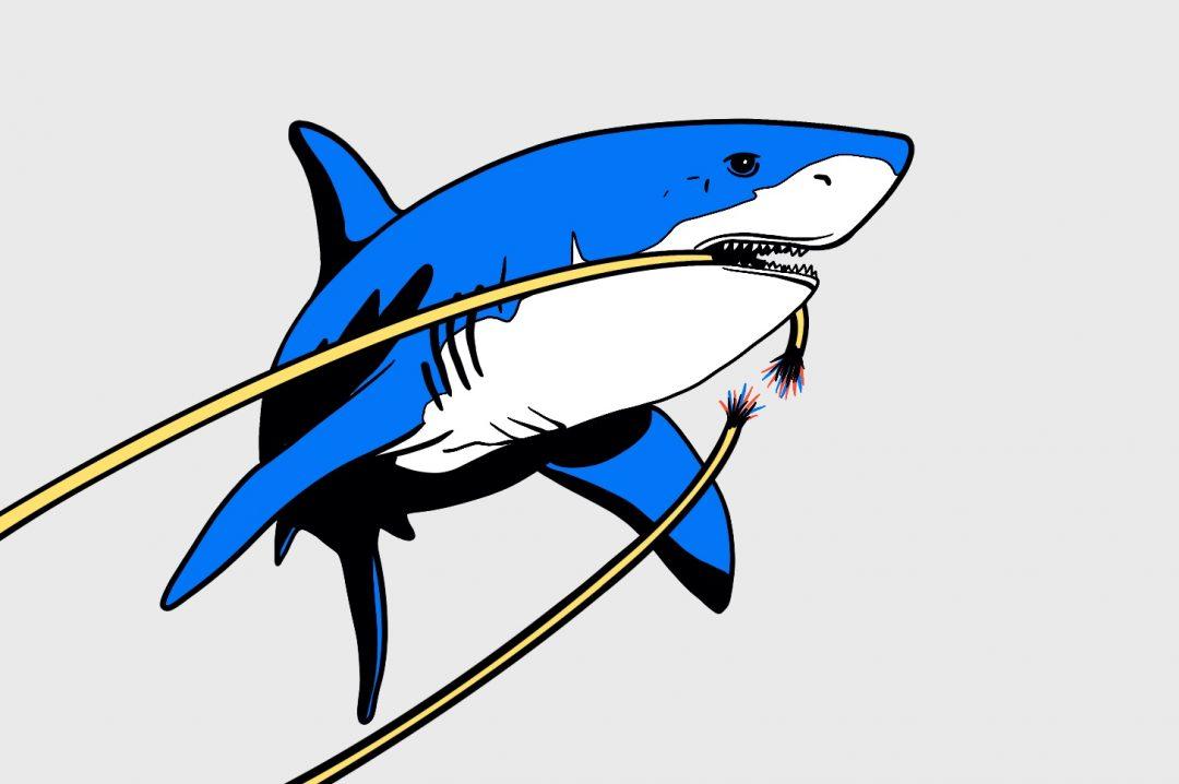 Интернет: как устроена всемирная система