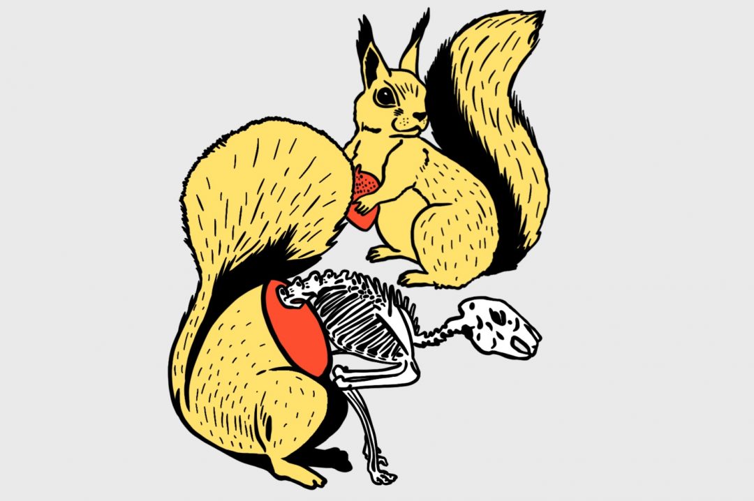 Задача про полторы белки