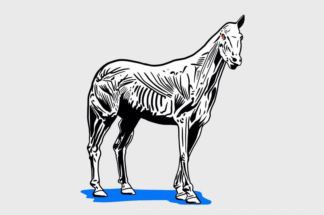 Как разделить неделимое наследство