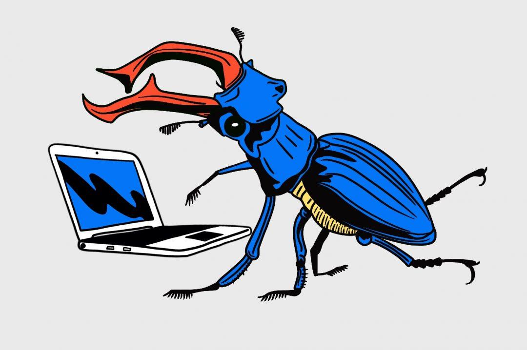 Задача: баг или фича?