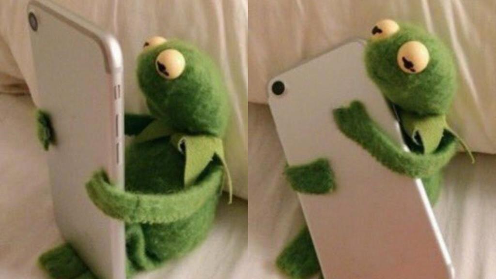 В Австралии выпустили смартфон для лягушек