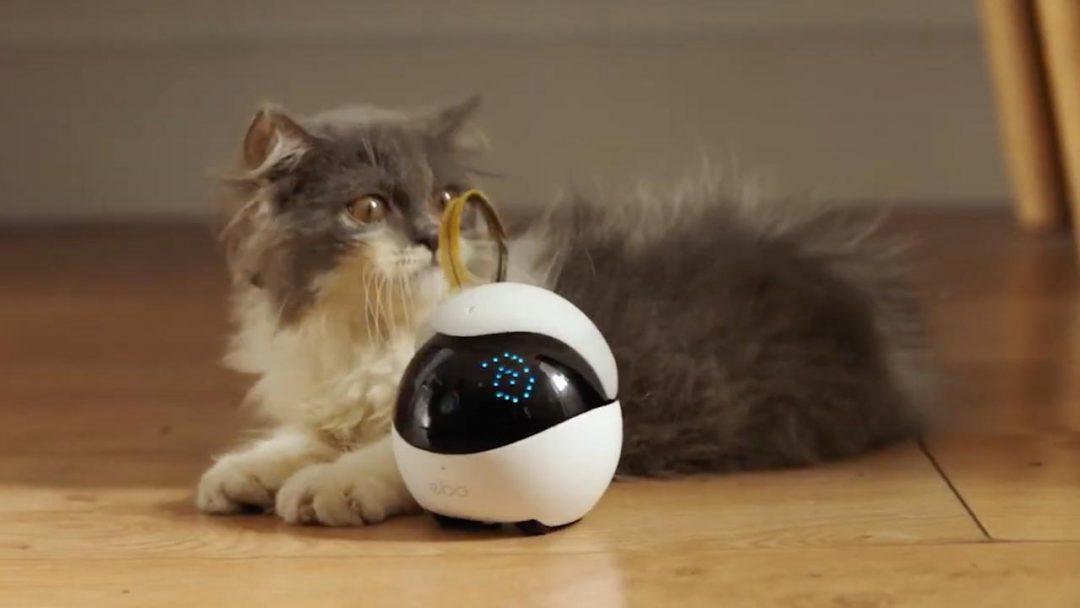 Робоигрушка для вашего кота