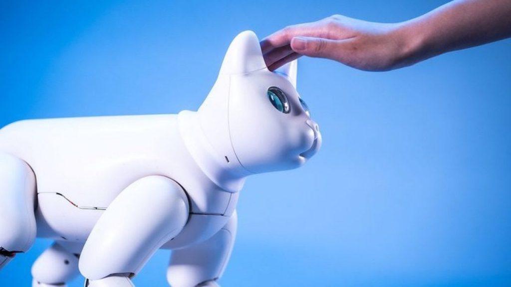 Робот-питомец для тех, у кого аллергия на шерсть