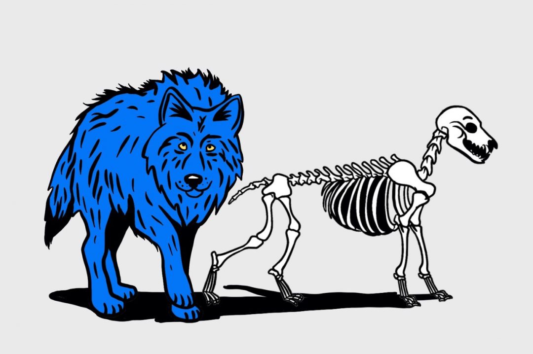 Сравнение: классы против функций