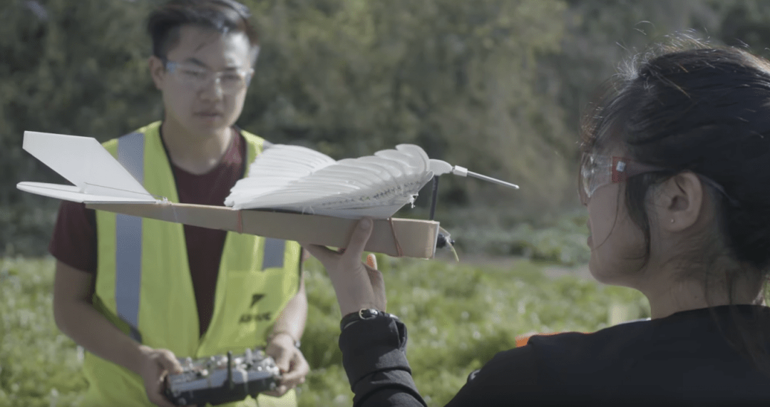 Дрон, который выглядит как птица и летает как птица