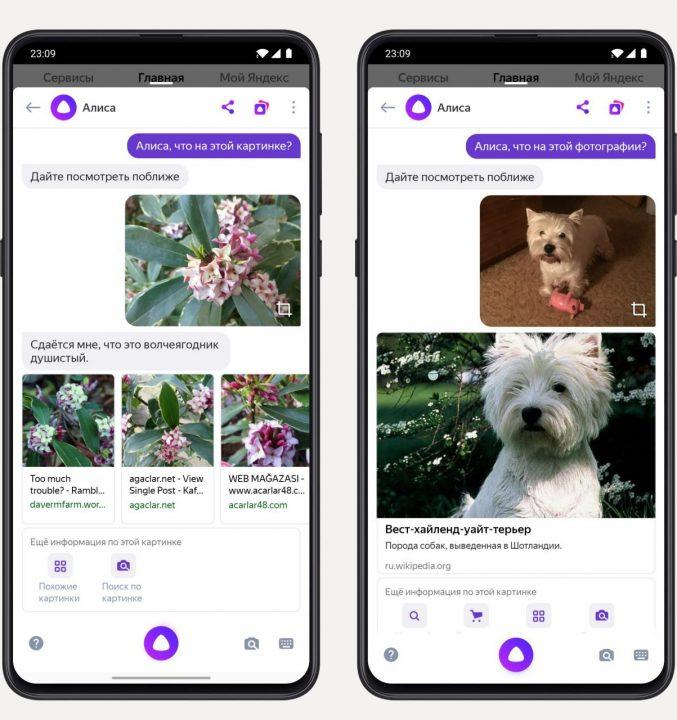 «Алиса» научилась расшифровывать и переводить текст