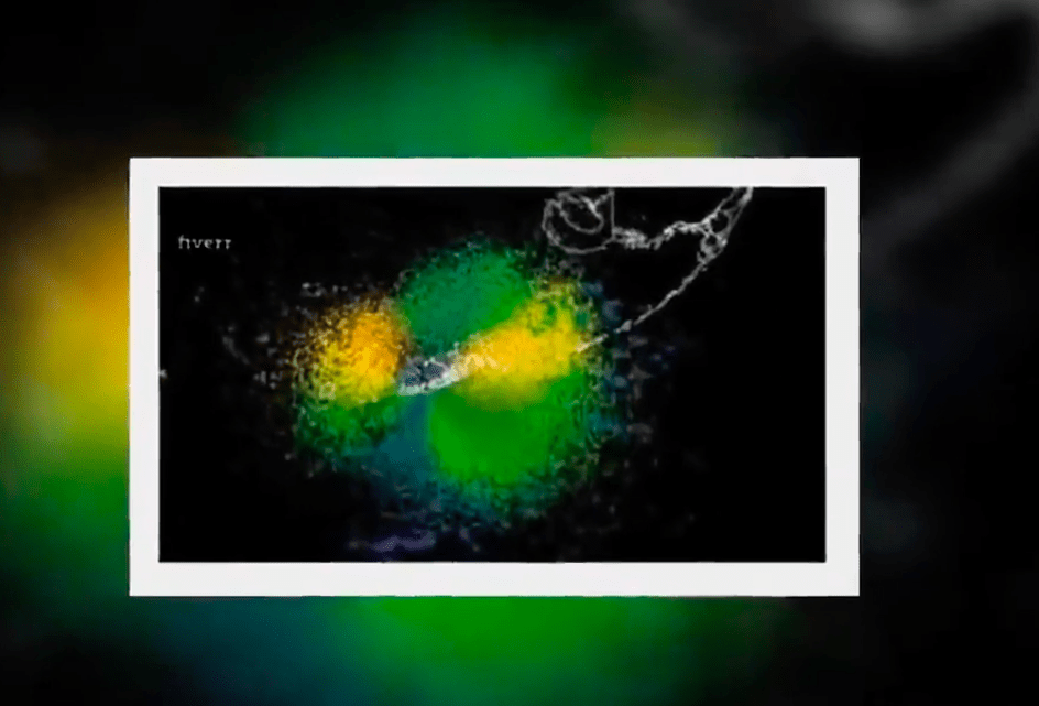 Красота. Так выглядит массовая миграция птиц на дождевом радаре