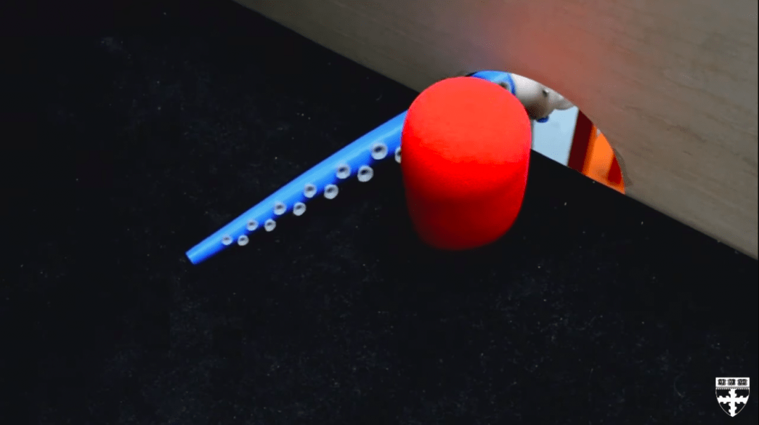 Учёные создали мягкого робота-осьминога с тентаклями