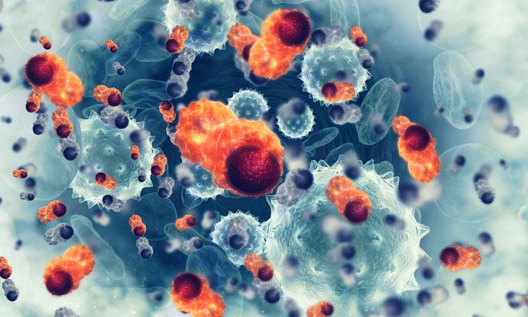 Визуализация раковых клеток поможет следить за развитием опухолей