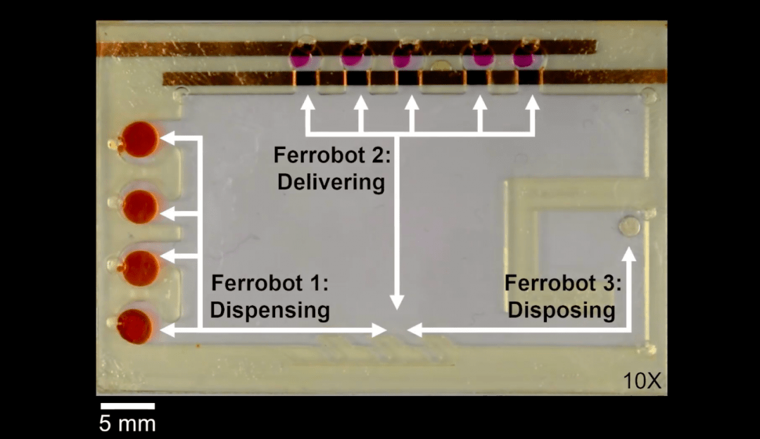 Ферроботы помогут с медицинскими тестами