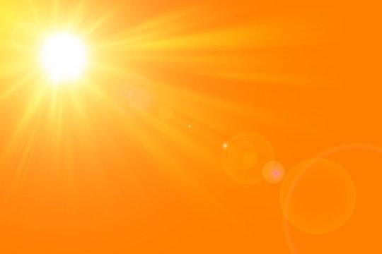 Биороботы превращают свет, углекислый газ и воду в органические строительные блоки