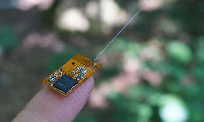 Создали сенсорную сеть для наблюдения за мелкими животными