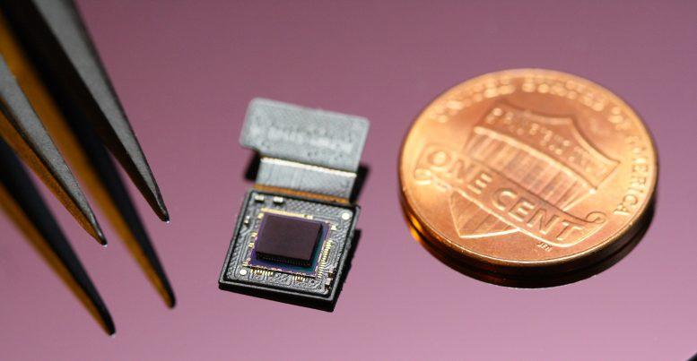 Изобрели: супермаленькую камеру, высокого разрешения