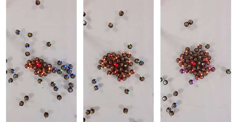 Биоалгоритмы научат роботов работать в команде