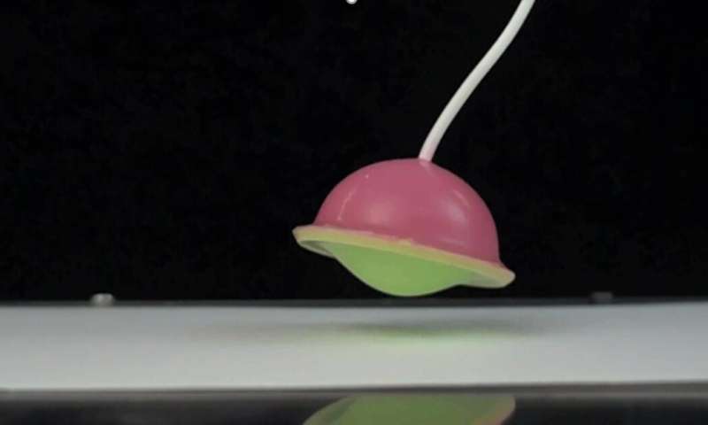 Это мягкий прыгучий робот, например