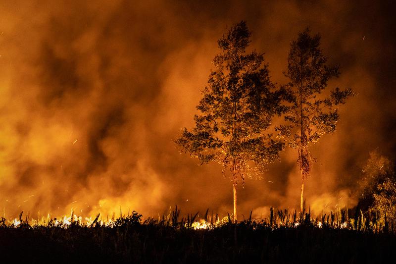 Почитайте, как пытаются контролировать торфяники в Индонезии