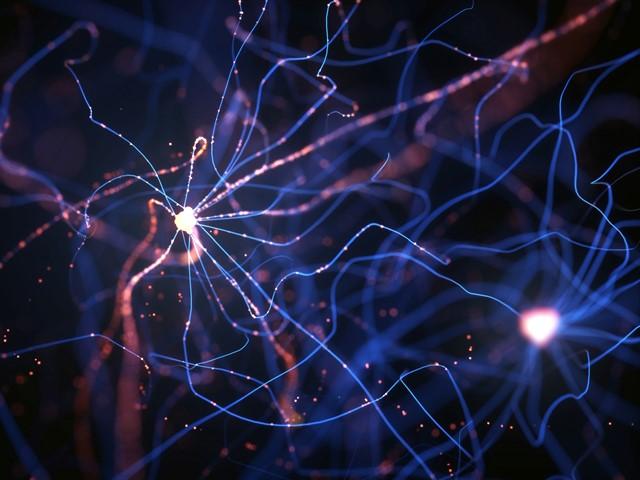 Нейронным сетям полезно спать