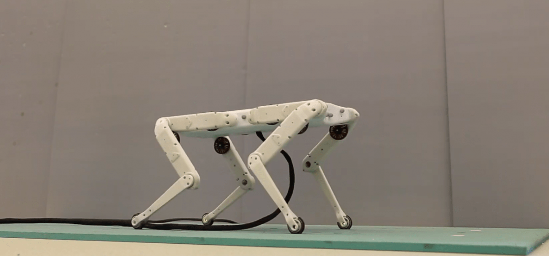 Придумали недорогую робо-собаку