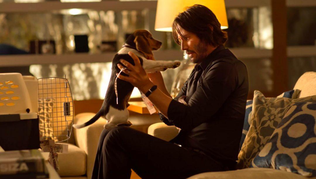 HBO снимут сериал по мотивам приложения