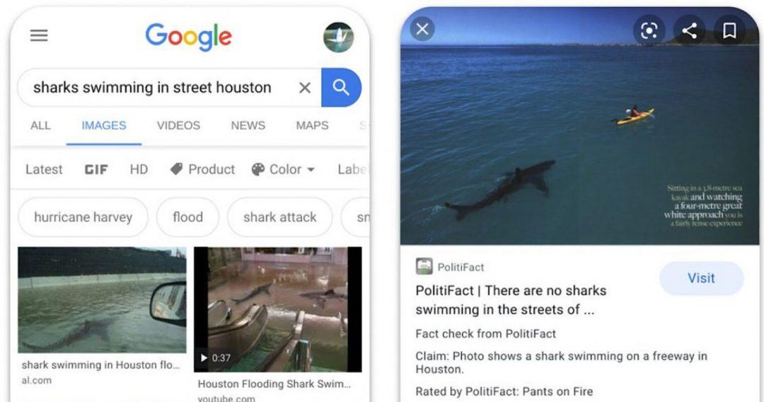 Google добавит фактчекинг для изображений