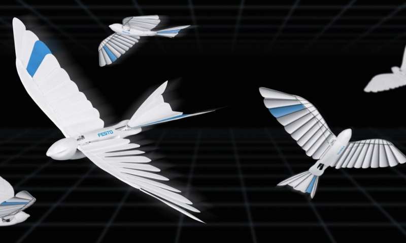 Чирик-чирик, юзернейм. Вот тебе бионические ласточки