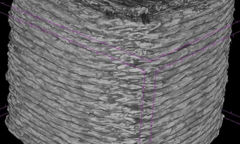 Реверс-инжиниринг деталей находит уязвимости в проектировочном ПО