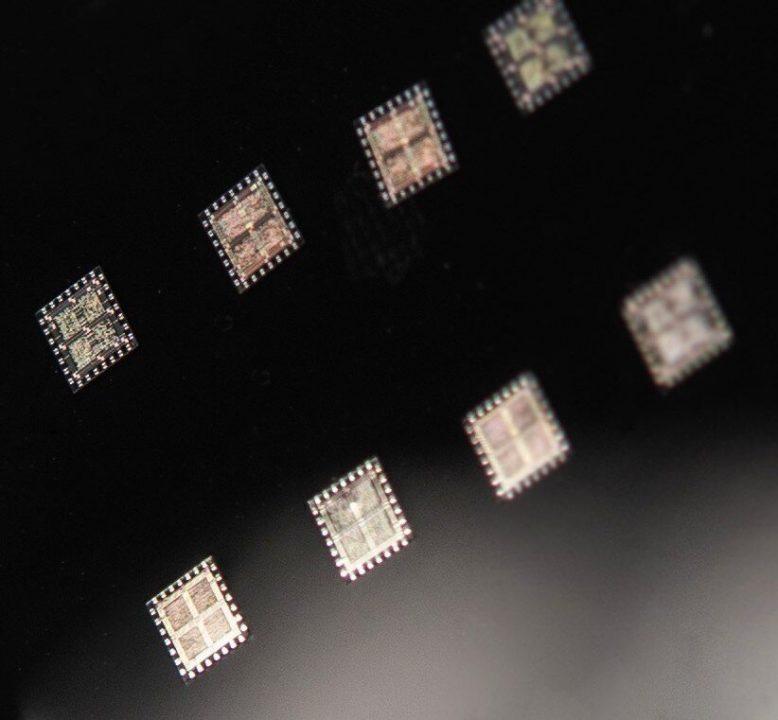 Сделали нейронку для устройств, распознающих запахи