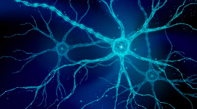 Ультразвук для доставки лекарств в разные части мозга