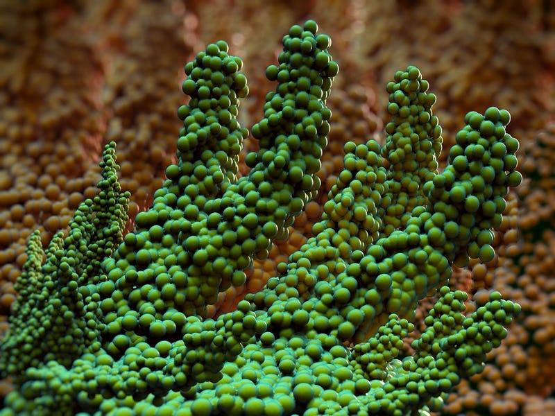 Микроботы очищают и дезинфицируют поверхности от слизи