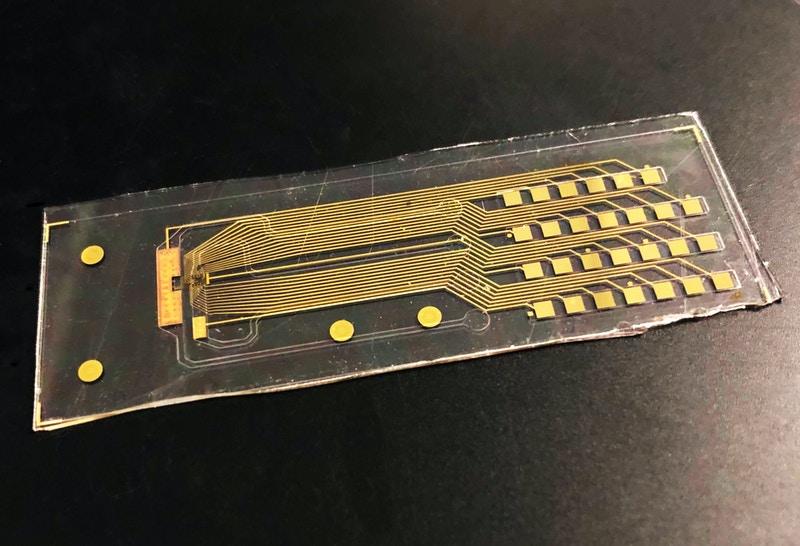 Создали устройство и нейросеть для управления стволовыми клетками человека