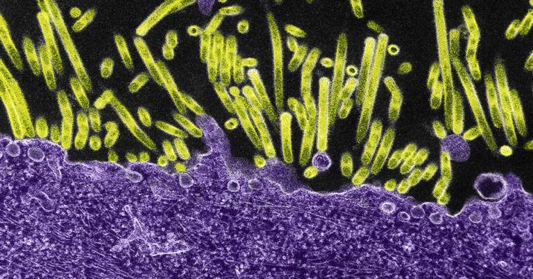 [Изобрели] Гидрогель, который может заменить электроды для глубокой стимуляции мозга