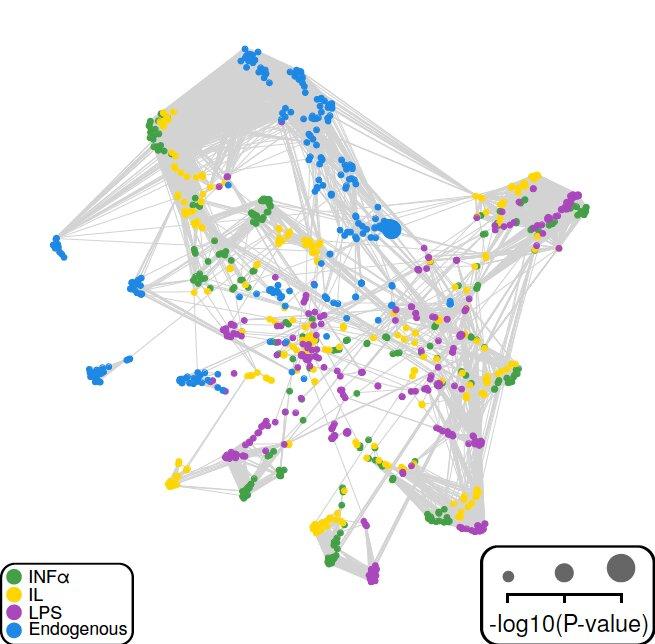 Нейронку научили иммунологии