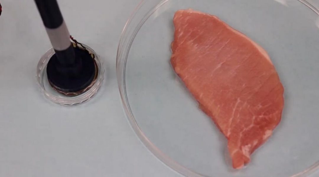 Придумали технологию для быстрой пересадки гибкой электроники