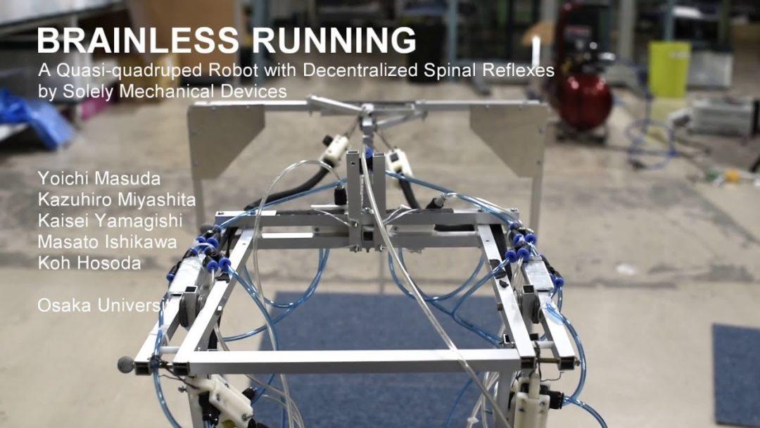 Посмотрите: робокота научили рефлексам