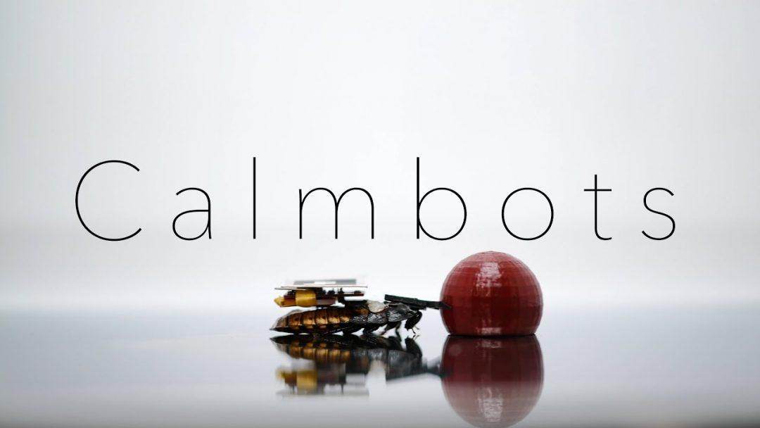 Сделали рой управляемых тараканов-киборгов