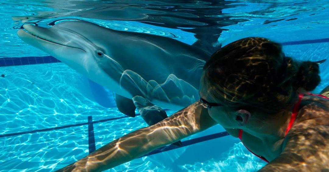 Дельфин-андроид будет развлекать людей