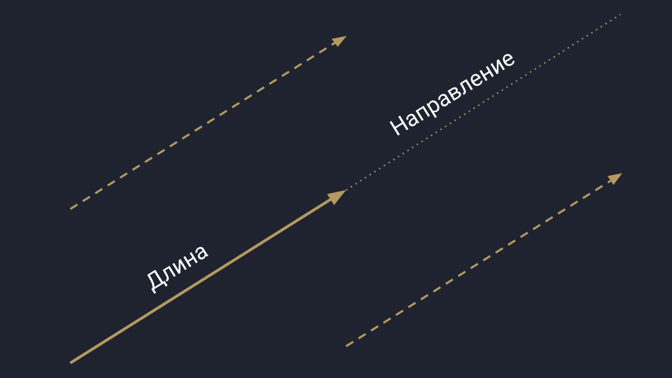 Линейная алгебра: векторы