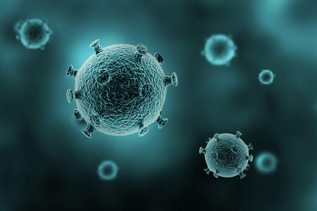 Нейронку научили сортировать вирусы