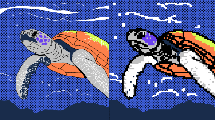 Что такое векторная и растровая графика