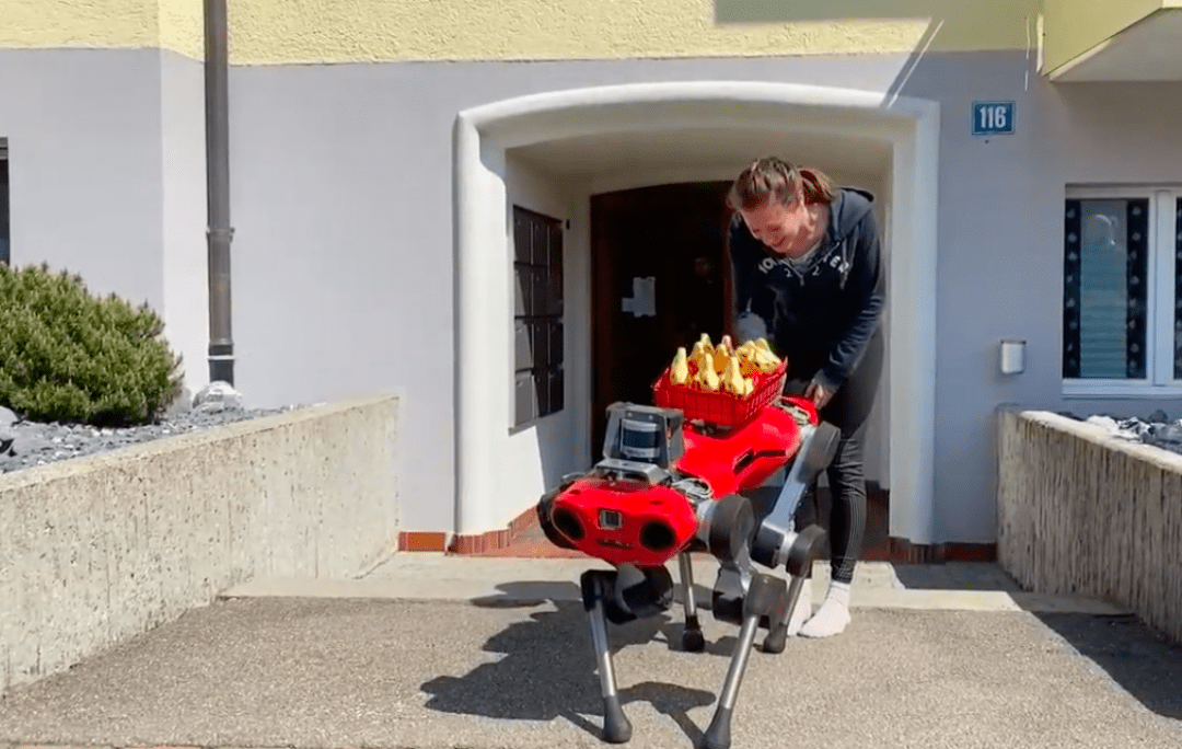 Посмотрите, как это было: робот разносит пасхальных кроликов