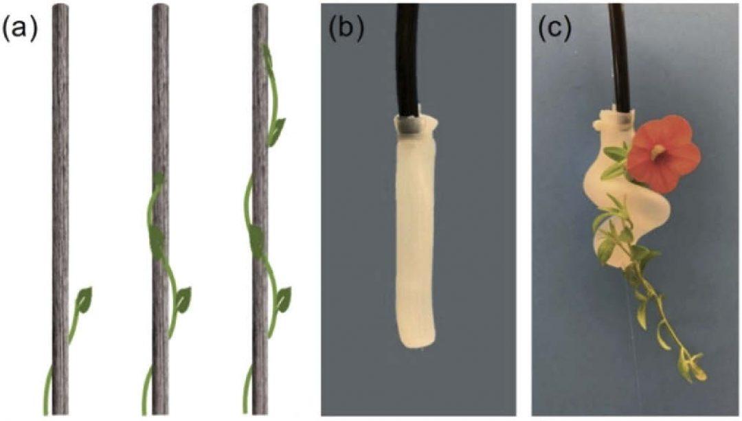 Посмотрите: мягкий робот оплетает предметы