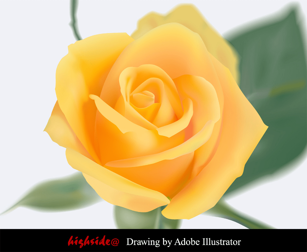 Что такое векторная и растровая графика