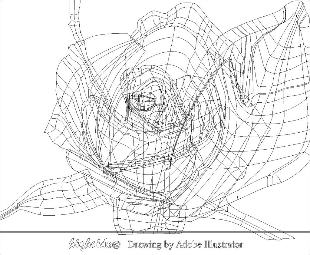 Что такое векторная и растровая графика