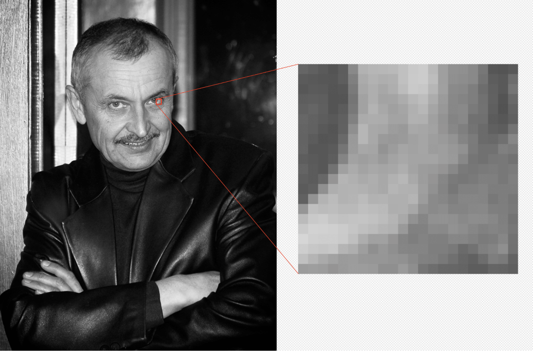 Что такое векторная и растровая графика