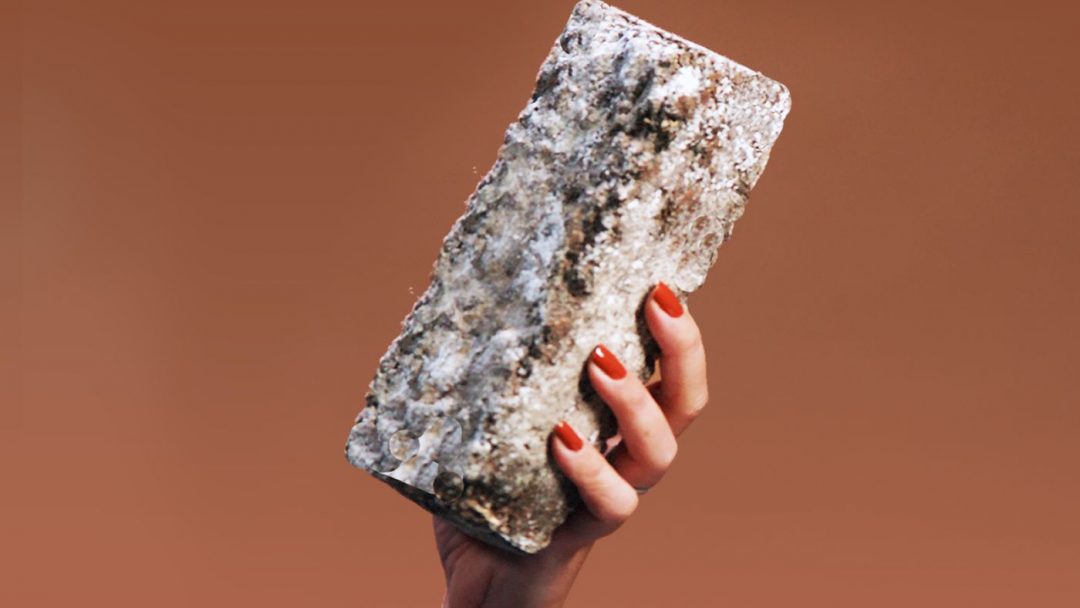 Кирпичи выращивают из грибов