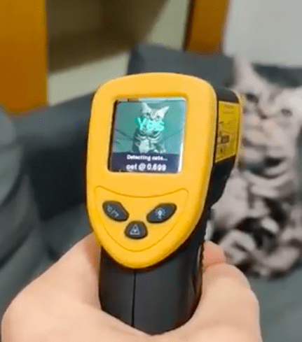 Посмотрите: кошачий детектор