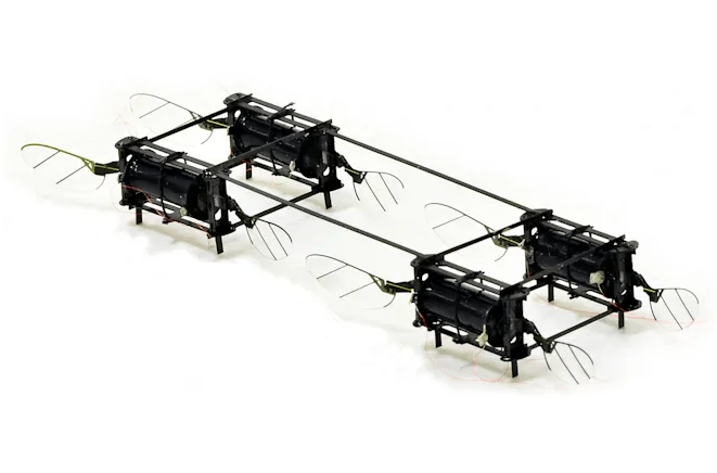 Сделали противоударный дрон размером со шмеля