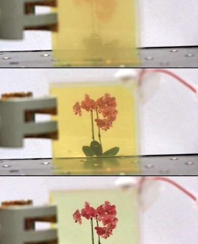 Сделали умные окна для теплиц