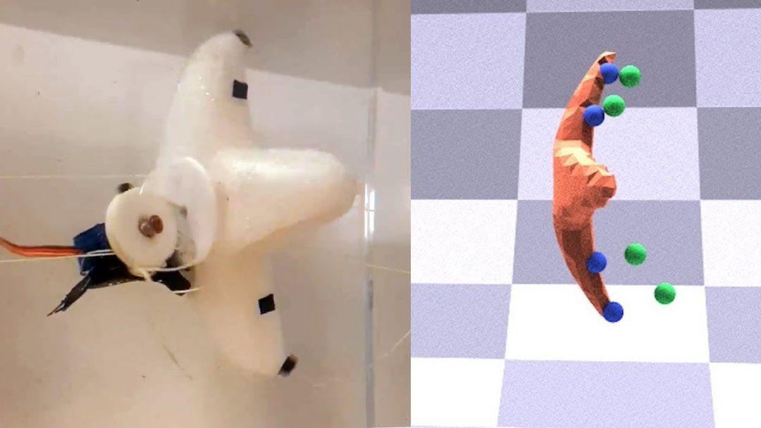 Морская робозвезда будет исследовать океан